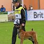CZ4 - Agbar Meggan Bohemia