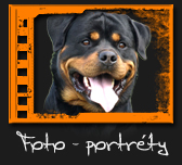 Portréty psů