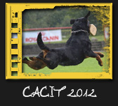 CACIT 2012
