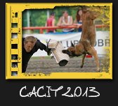 CACIT Dobříš 2013