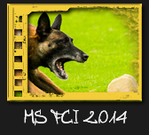 MS FCI IPO 2014
