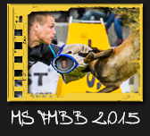 FMBB 2015 Písek