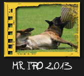 MČR IPO 2013
