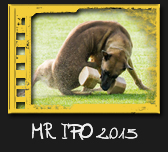 MČR IPO 2015