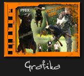 Grafika & design
